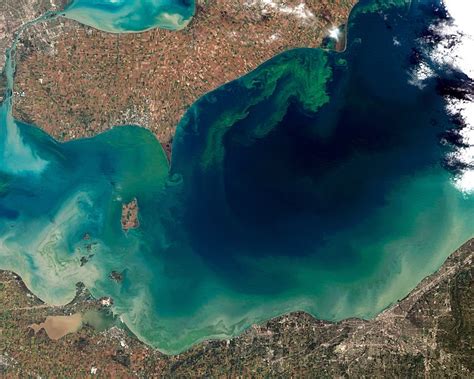 carbon based drought led  massive dead zone  lake erie