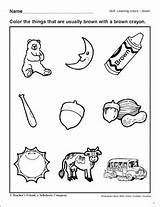 Brown Color Kindergarten Teachables Scholastic sketch template