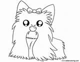 Coloring Pages Terrier Yorkshire Yorkie Printable Kids Adults sketch template