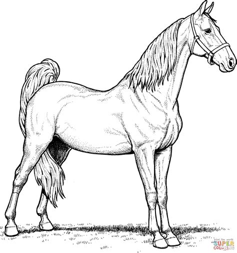realistic horse coloring pages    print