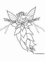 Coloring Fairy Pages Christmas Poinsettia Colouring Kids Fairies Adults Sheets Pheemcfaddell Adult Print Clipart Books Princess Library Patterns Elf Crafts sketch template