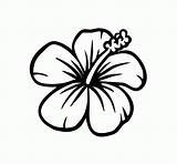 Hibiscus Fleur Fleurs Hawaienne sketch template
