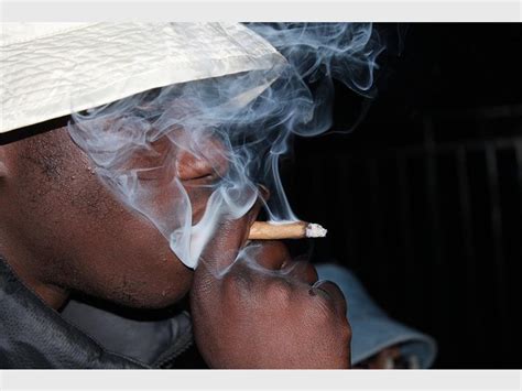 Breaking News Dagga Now Legal In Sa Roodepoort Record
