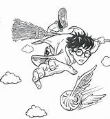Desenhos Colorir Dobby Quidditch Hogwarts Getcolorings Hedwig Hermione Quadribol Uniquecoloringpages Getdrawings Slytherin Cavalos Colcha Presentations Elf sketch template