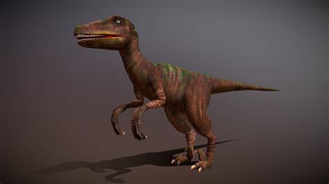 drt dinosaurs velociraptor buy royalty   model  drtcom