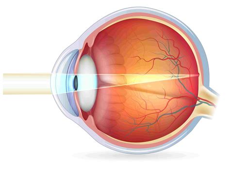 human eyes strange facts  health related problems health secrets