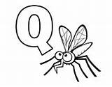 Coloring Mosquito Mosquitos Coloringcrew Pages sketch template