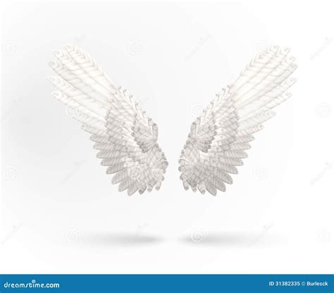 white wings royalty  stock photo image
