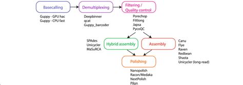 Overall Diagram Of Assembly Stages And Tool Comparisons Download