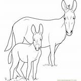 Donkey Coloring Pages sketch template