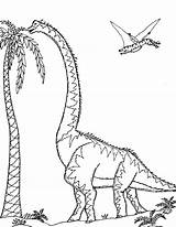 Sauroposeidon Coloring Patagotitan Ornithocheirus Dinosaur Pages Dinosaurs Biggest Robin Great sketch template