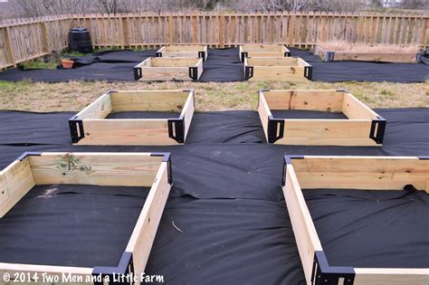 men    farm raised bed construction finished