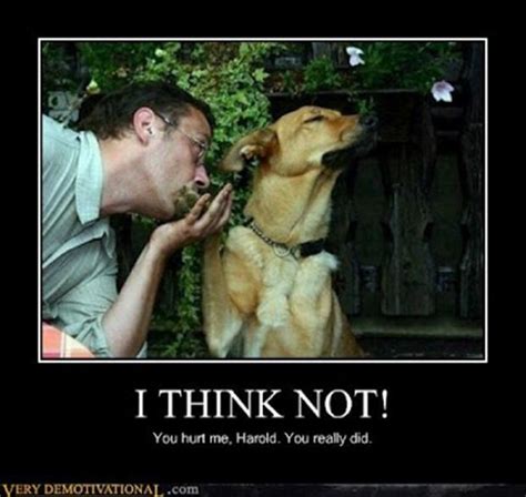 demotivational funny memes time part 2 7 pics for fum and interesting articles feafum