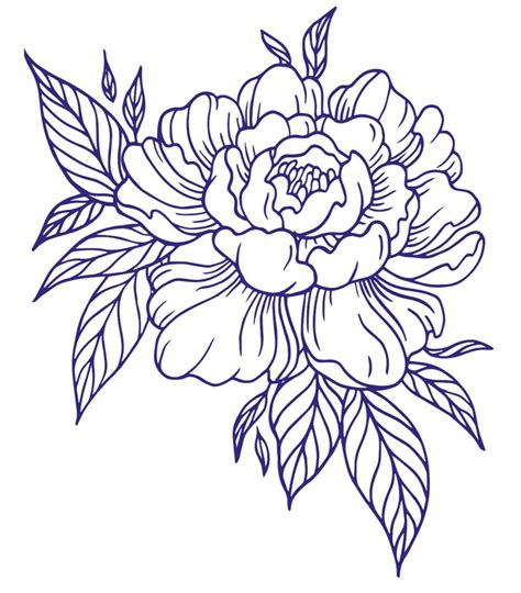 peony embroidery pattern outline flower  drawings tattoo