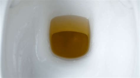 close up top view of yellow pee flushing stock footage sbv 321674013