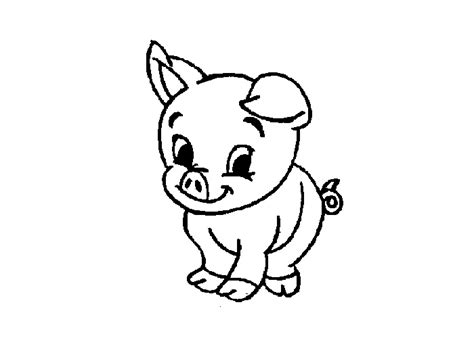 hwfd cute baby pig coloring pages  hd wallapapers