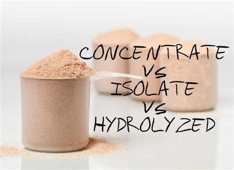 whey protein isolate  concentrate wheying   differences