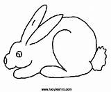 Bunny Coloring Pages Rabbit Drawing sketch template