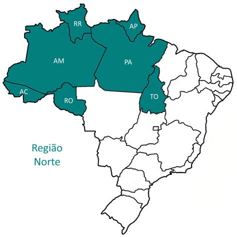regioes  brasil norte learn brazilian portuguese