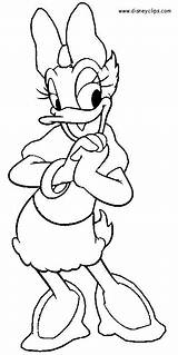 Daisy Duck Coloring Pages Disney Donald Mickey Para Colorear Outline Mouse Cartoon Draw Drawing Drawings Colouring Printable Dibujos Sheets Cute sketch template