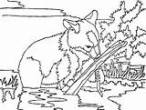 Coloring Alaska Pages Popular sketch template