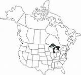 Map Coloring North America Pages Canada Vietnam Colouring United States Getcolorings Printable Development Getdrawings Color Drawing Colorings sketch template