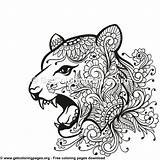 Coloring Tiger Pages Tribal Zentangle Head Style Getcoloringpages sketch template