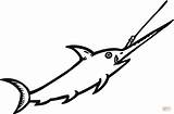 Espada Pez Dibujo Swordfish Schwertfisch Pesce Spada Vela Pescespada Pesci Stampabile Gratuito Animales sketch template
