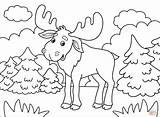 Moose Alce Coloringonly Colorear Supercoloring Canadian sketch template