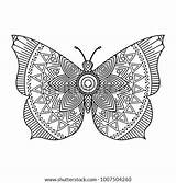 Butterfly Pages Zentangle Coloring Adult Printable Template sketch template