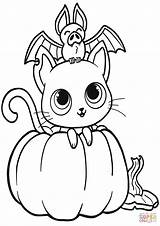 Pumpkin Citrouille Souris Chauve Calabazas Gratuit Pumpkins Disegni Supercoloring Colorare Top32 Imprimé Drukuj sketch template