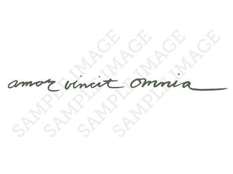 amor vincit omnia latin calligraphy cursive fake temporary tattoos 1 set 2 tattoos cursive