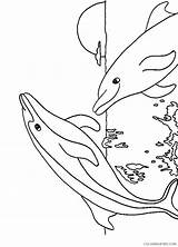 Dolphin Coloring Pages Coloring4free Sunset Related Posts sketch template