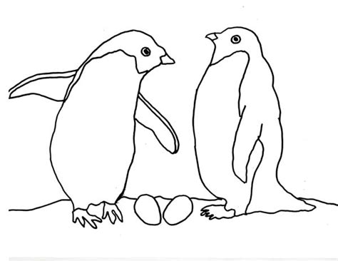 penguin couple  arctic animals coloring page kids play color