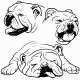 Coloring Pages Drawing Bulldog Bull English Face Bulldogs Goldendoodle Draw Drawings Realistic Frog Easy Color French Simple Cartoon Puppy Puppies sketch template