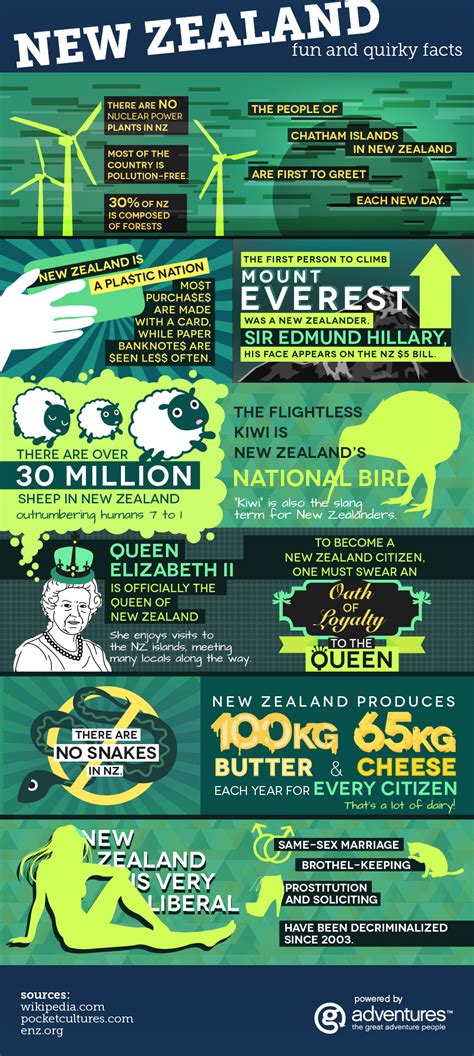 fun  quirky facts   zealand infographic