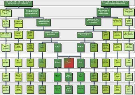 cousins chart family tree genealogy family genealogy genealogy chart