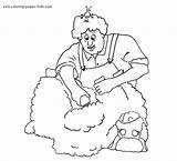 Coloring Pages Sheep Animal Color Sheets Found Printable sketch template