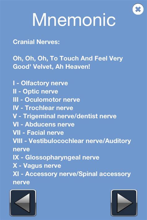 cranial nerves mnemonic nursing stuff pinterest best cranial