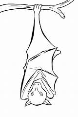 Bat Coloring Pages Hanging Color Sketch Drawing Upside Down Draw Printable Sketches Print Drawings Animal Tree Choose Board Scary Coloring2print sketch template