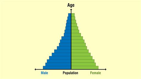 the different types of population pyramids explained with examples