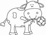Cow Cows Wecoloringpage Steer Webstockreview sketch template