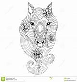 Caballos Mandalas Pferde Bildergebnisse Seiten Caballo Einhorn Pferd Tiere Deko365 Gemalde Unicornios Zentangle Pferdekopf Bildresultat sketch template