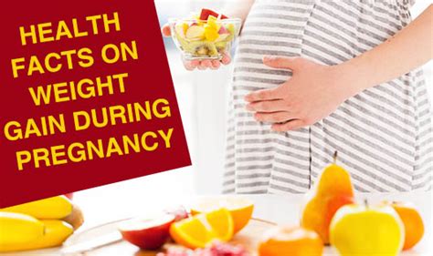 health facts on weight gain during pregnancy the wellness corner
