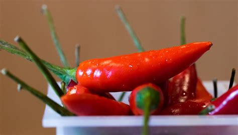 chili peppers     longer study newshub