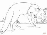 Fox Coloring Red Pages Crouching Drawing Drawings Printable Getdrawings sketch template