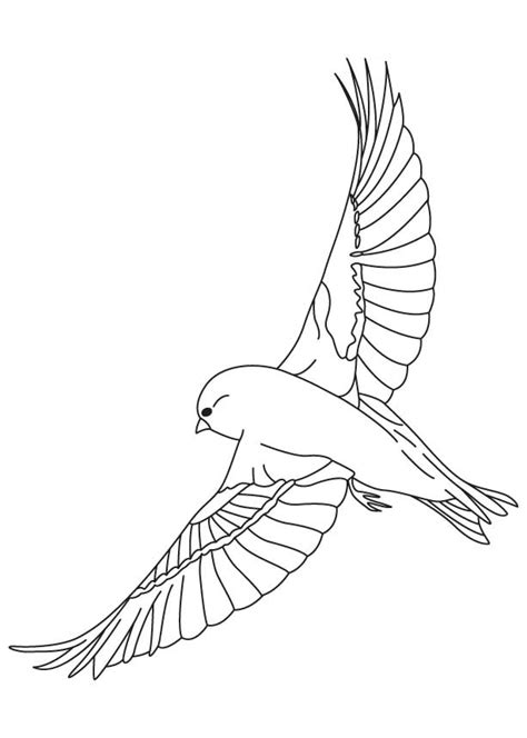 finches flying coloring page   finches flying coloring
