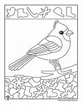 Cardinal Preschool Coloring Bird Winter Hidden Worksheet Worksheets Kids Pages Printable Spy Numbers Find Activities sketch template