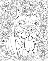 Coloring Pages Dog Adults Kids sketch template