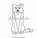 Collie Border Coloring Drawing Vector sketch template